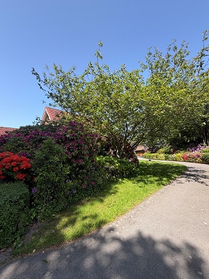  Einfamilienhaus Cuxhaven
