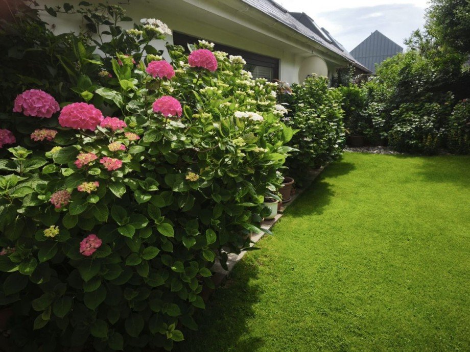  Einfamilienhaus Helgoland